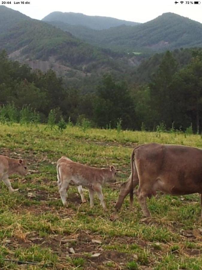Apartmán Preciosas Vistas A La Montana, Luminoso Y Acogedor El Pueyo de Araguás Exteriér fotografie