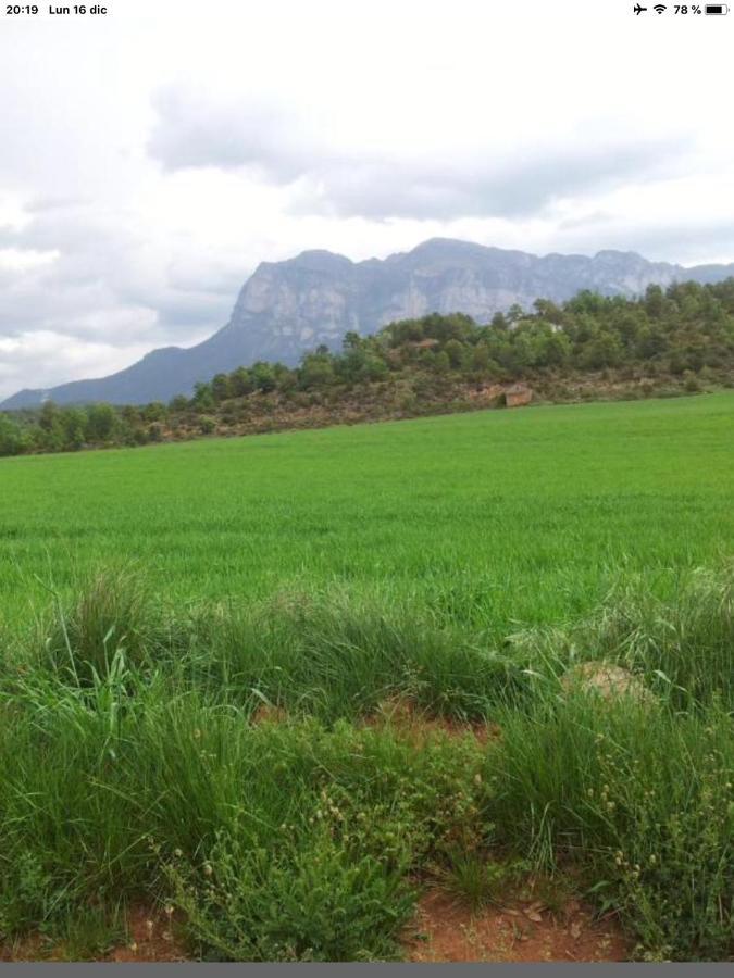 Apartmán Preciosas Vistas A La Montana, Luminoso Y Acogedor El Pueyo de Araguás Exteriér fotografie