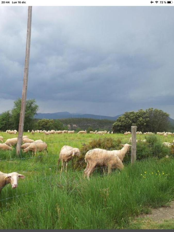 Apartmán Preciosas Vistas A La Montana, Luminoso Y Acogedor El Pueyo de Araguás Exteriér fotografie